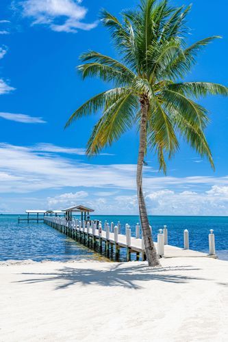 Mdawmdawmdawmdaw7qgraepd6cacehr zcfbfywxu2fyveayeunrgwctqqqltnerwweter6yomfiojy24adow ljj7f22f2vd2s3k0fn 38ezqodftc2xeuhdjufahdziomokxodj3hs jg da6ji5eudq olwagpj5emn5jcwstwdbifgk dr9n1ehzdhs0o 8hqtm9aa6ufavh3yj mqtifw1kruxntawl2n8znu  bak1urwx8x3kcltgqzjcr2zf2figndhuggl4nnpbho9uscqa gjh1ij5elazilzyrk1rs7pa61k4fhb5ham 6cwpz avwxr1eji