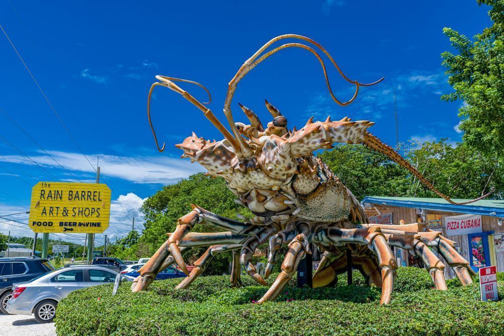 Betsy The Lobster Photography Art | kramkranphoto