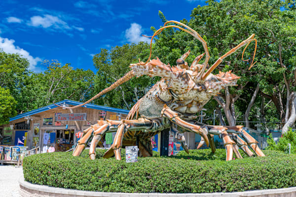 Betsy Photography Art | kramkranphoto