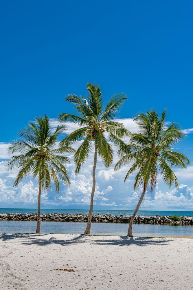 Key West Scene Photography Art | kramkranphoto