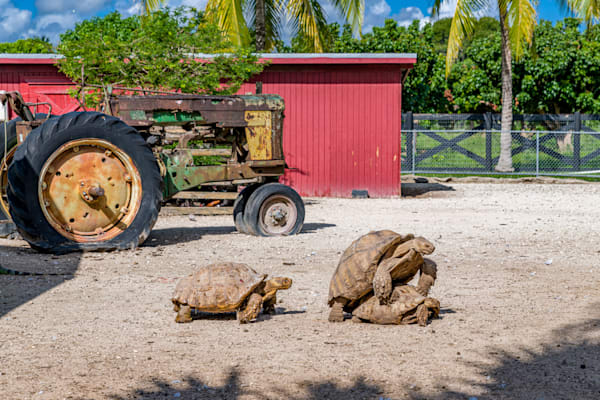 South Florida At A Slower Pace Photography Art | kramkranphoto