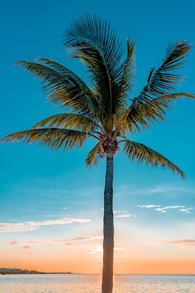 Secluded Beachfront Photography Art | kramkranphoto