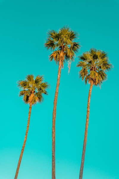 Aqua Gradient Photography Art | kramkranphoto