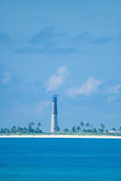 Loggerhead Portrait Photography Art | kramkranphoto