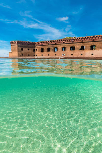 Symbiosis Of Elements: Photography Art | kramkranphoto