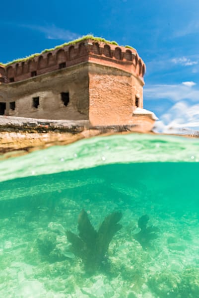 Coral Reefs Beneath Photography Art | kramkranphoto