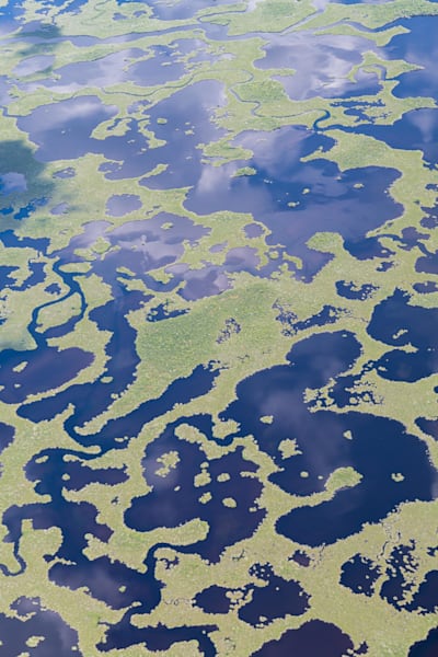 Everglades Transition Photography Art | kramkranphoto