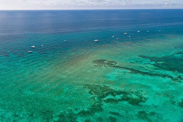 Varied Coral Shapes And Colors Photography Art | kramkranphoto