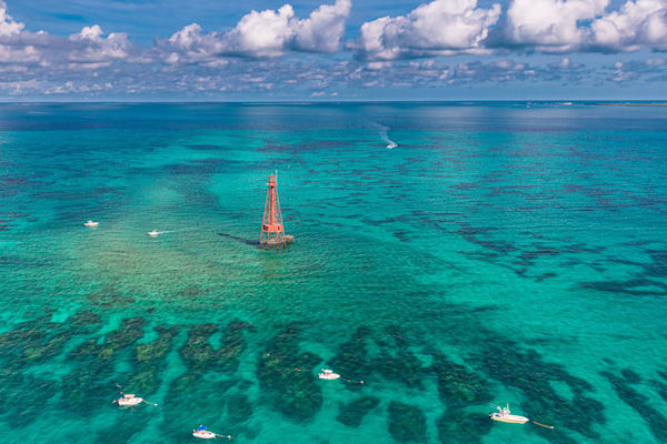 Surreal Coral Reef Patterns Photography Art | kramkranphoto