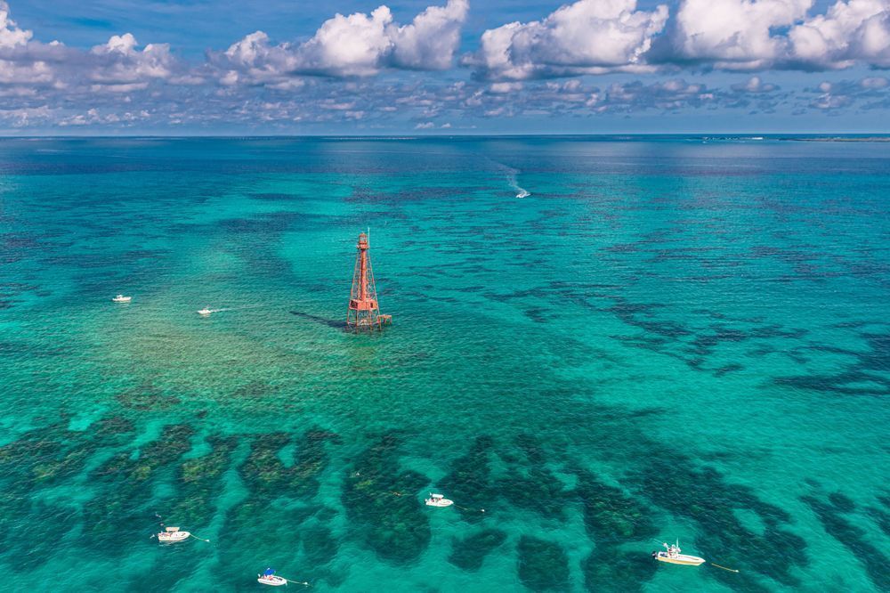 Surreal Coral Reef Patterns Photography Art | kramkranphoto