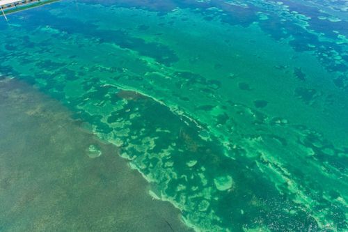 Mdawmdawmdawmdaw7qgraepd6cacehr zcfbfywxu2fyveayeunrgwctqqqltnerwweter6yomfiojy24adow ljj7f22f2vd2s3k0fn 38ezqodftc2xeuhdjufahdziomokxodj3hs jg da6ji5eudq olwagpj5emn5jcwstwdbifgk dr9n1efzhy1ksyz48i8doqbweiadrd4gxfwgtew4 rgsepjv1wow2mk8cukhvr9vo1 5luwiups dgdm2 pyo8a4baf7hsgwqmbdwsqs mvh1oayab9jok804aclgoidrwzji4cq5djh8fspxb1xxhbe9pnuudmgdjayyrd42xtijivves6g54viosqbtg