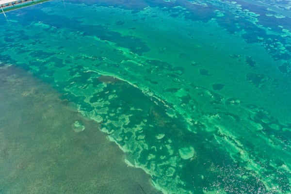 Paradise Photography Art | kramkranphoto