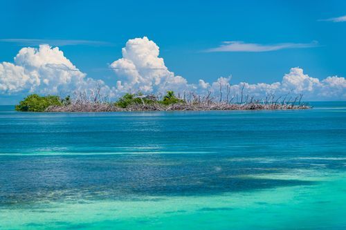 Mdawmdawmdawmdaw7qgraepd6cacehr zcfbfywxu2fyveayeunrgwctqqqltnerwweter6yomfiojy24adow ljj7f22f2vd2s3k0fn 38ezqodftc2xeuhdjufahdziomokxodj3hs jg da6ji5eudq olwagpj5emn5jcwstwdbifgk dr9n1efzhy1ksyz48i8doqbweiadrd4gxfwgtew4 rgsepjvy2yk2ck0bbq4tqfvo1  leiqv5w d2dm2 pyo8a4baf7hsgwqmbdwsqs mvh1oayab9jok804aclgoidrwzji4cq5djh8fspxb1xxhbe9pnuudmgdjayyrd4konyy12f2yqajcbpdy0jea