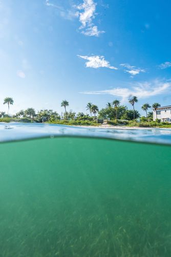 Mdawmdawmdawmdaw7qgraepd6cacehr zcfbfywxu2fyveayeunrgwctqqqltnerwweter6yomfiojy24adow ljj7f22f2vd2s3k0fn 38ezqodftc2xeuhdjufahdziomokxodj3hs jg da6ji5eudq olwagpj5emn5jcwstwdbifgk dr9n1efzhy1ksyz48i8doqbweiadrd4gxfwgtew4 rgsepjvywoo2sksdlu9dh9vo1 5luwiupw3cmdm2 pyo8a4baf7hsgwqmbdwsqs mvh1oayab9jok804aclgoidrwzji4cq5djh8fspxb1xxhbe9pnuudmgdjayyrd4ryksveqg 6 ez93jsujigg