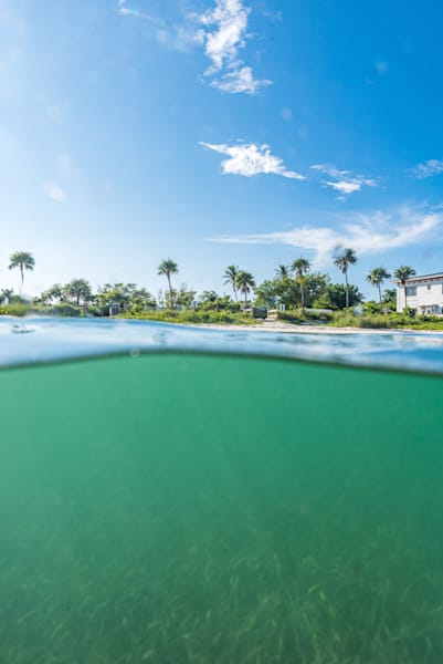 Smooth Operator Photography Art | kramkranphoto