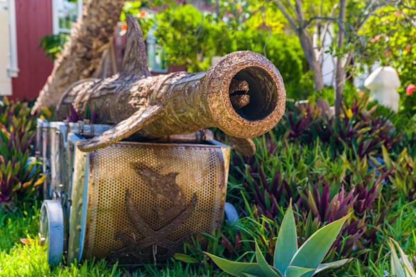 Fancy Art Cannon Photography Art | kramkranphoto