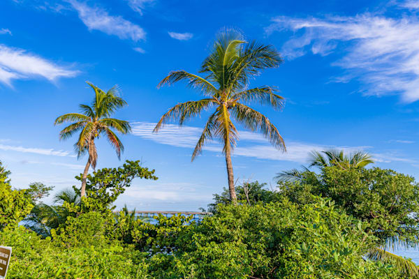 Natural Bahia Photography Art | kramkranphoto