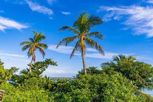 Mdawmdawmdawmdaw7qgraepd6cacehr zcfbfywxu2fyveayeunrgwctqqqltnerwweter6yomfiojy24adow ljj7f22f2vd2s3k0fn 38ezqodftc2xeuhdjufahdziomokxodj3hs jg da6ji5eudq olwagpj5emn5jcwstwdbifgk dr9n1efzhy1ksyz48i8doqbweiadrd4gxfwgtew4 rgsepjvymek266ackc5srwdvvi7lockspw1cniiwe03nc5uahj0m9sfxd9rtdeu 3gwzieswv5yjbbm b9rheyhslbhlcqn6dxi7a0xurhxqhir6v5etzk4etoyh5dyvl1l gnsugzy2f43d8xtw7a