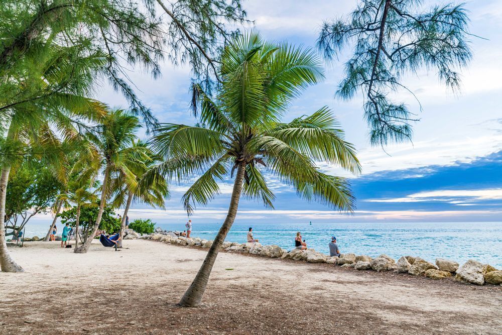 Catches The Sunlight In Its Intricate Patterns Photography Art | kramkranphoto