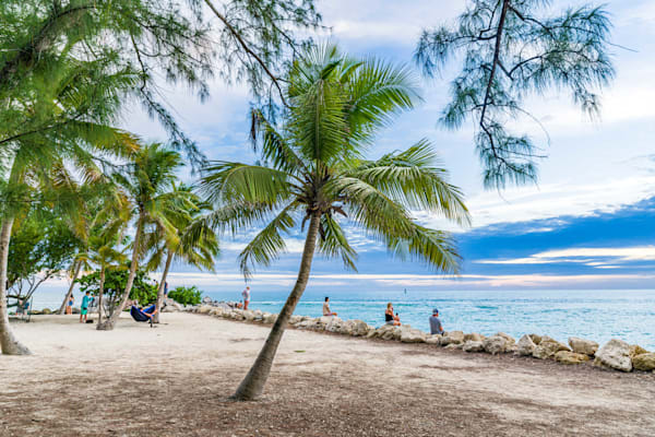 Catches The Sunlight In Its Intricate Patterns Photography Art | kramkranphoto