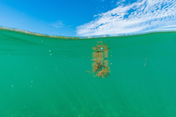 Aqua Waters' Lullaby Photography Art | kramkranphoto