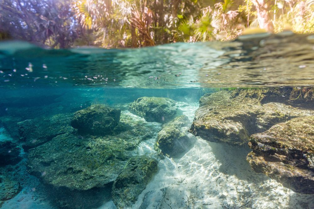 Underwater Adventures Photography Art | kramkranphoto