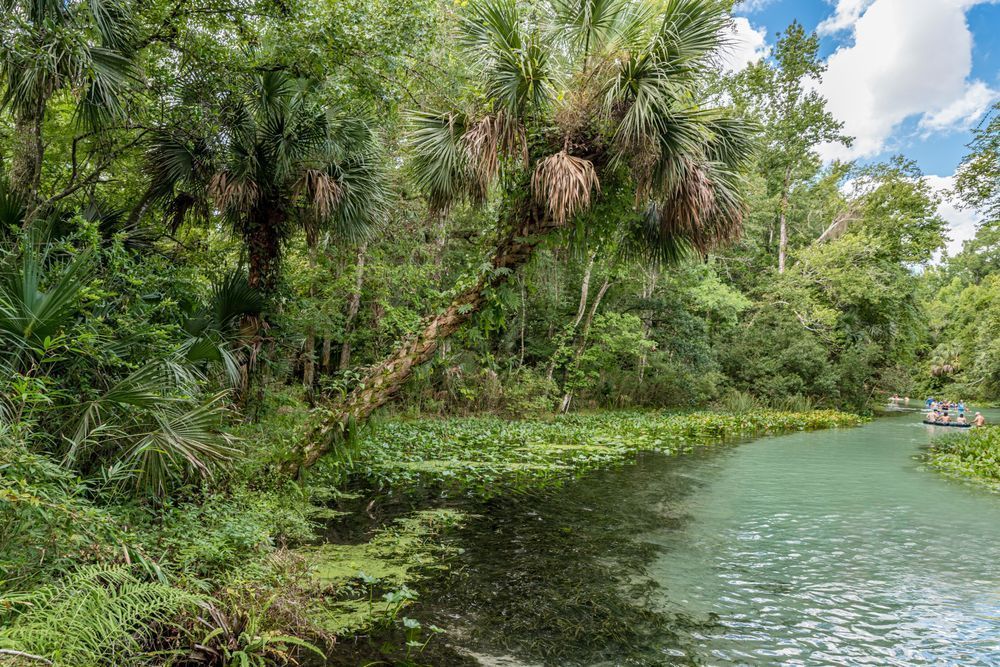 Way Down Yonder Photography Art | kramkranphoto