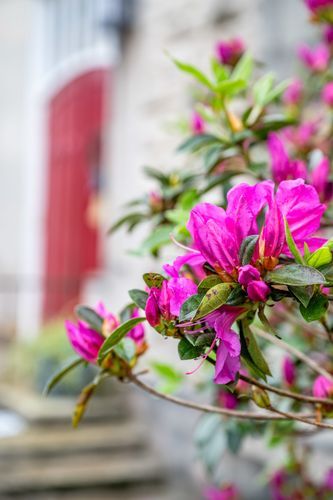 Mdawmdawmdawmdaw7qgraepd6cacehr zcfbfywxu2fyveayeunrgwctqqqltnerwweter6yomfiojy24adow ljj7f22f2vd2s3k0fn 38ezqodftc2xeuhdjufahdziomokxodj3hs jg da6ji5eudq olwagpj5emn5kdw6gz932e2knzh9t1fbmbsfgypeks9hpv esqocsrckmzfuwxhfgrefweez1zwupxpevzpp hboi8wf ebph5slzvshi2l9qtjlufrj6hyxdemfvqcqjtjphhtigrrrldeuj6hvlu gdv1ani9l6vivs2qtwm lxkewxmo4o6afl0w0 