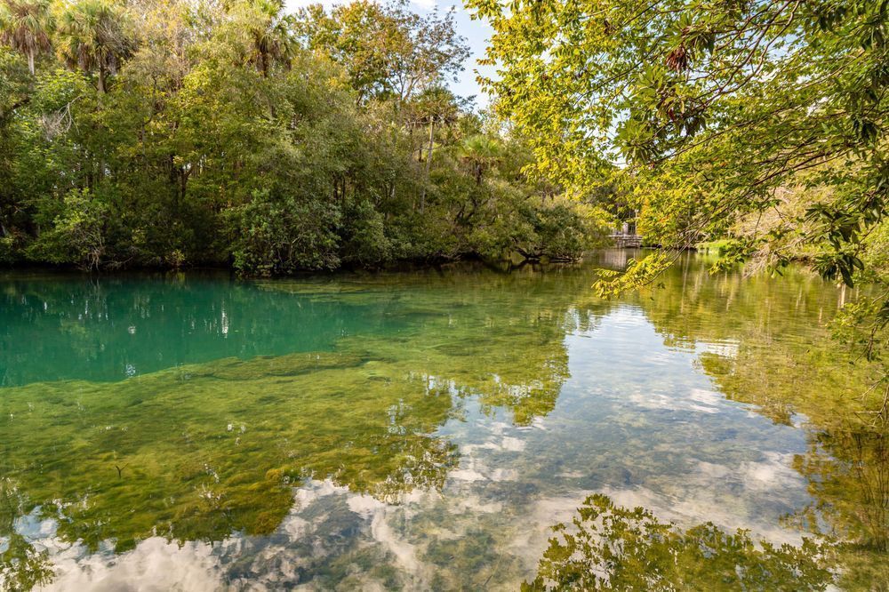 Homosassa Springs Photography Art | kramkranphoto