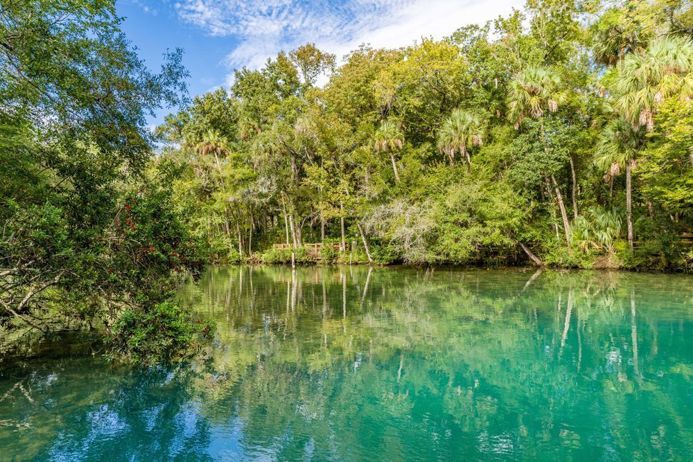 Colors Of Homosassa Springs Photography Art | kramkranphoto