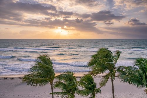 Mdawmdawmdawmdaw7qgraepd6cacehr zcfbfywxu2fyveayeunrgwctqqqltnerwweter6yomfiojy24adow ljj7f22f2vd2s3k0fn 38ezqodftc2xeuhdjufahdziomokxodj3hs jg da6ji5eudq olwagpj5emn5ke3ged8t d1m1vant mzlehtxell2po1nvpgqte4dx4bxnrcvxllztvs9vbssizvumpc d7i8ub1yqdl2pbzh5nglbmzkwva5y8bgvahwnmcrro8gghpnudqsh9m9sl4ryu8mp3g0kqvfrpqwwbydmmdgsqjysq