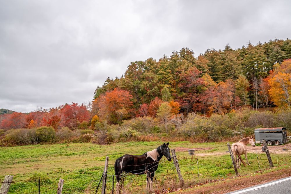 Autumn Roadside Attractions Photography Art | kramkranphoto