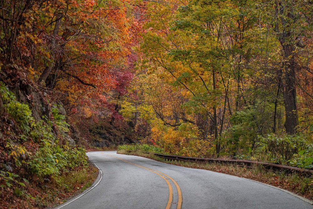 Gorge Road In Highlands In Fall Photography Art | kramkranphoto