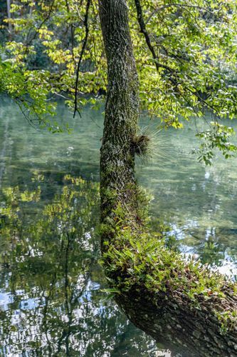 Mdawmdawmdawmdaw7qgraepd6cacehr zcfbfywxu2fyveayeunrgwctqqqltnerwweter6yomfiojy24adow ljj7f22f2vd2s3k0fn 38ezqodftc2xeuhdjufahdziomokxodj3hs jg da6ji5eudq olwagpj5emn5mdwmhfnl9p3wfahlo69blfht ekz5qovnvpgqregewobwnrcvxllztvs9vbssizvumpc d7i8ub1yqdl2pbzh5nglbmzkwva5y8bgvahwnmcrro8gghpnudqsh9m9sl4ryu8mp3g0mcxepo7z2ezwuzfaflvkiw