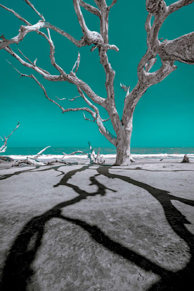 Jekyll Shadows Photography Art | kramkranphoto