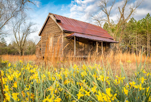 Farmhouse Flowers Photography Art | kramkranphoto