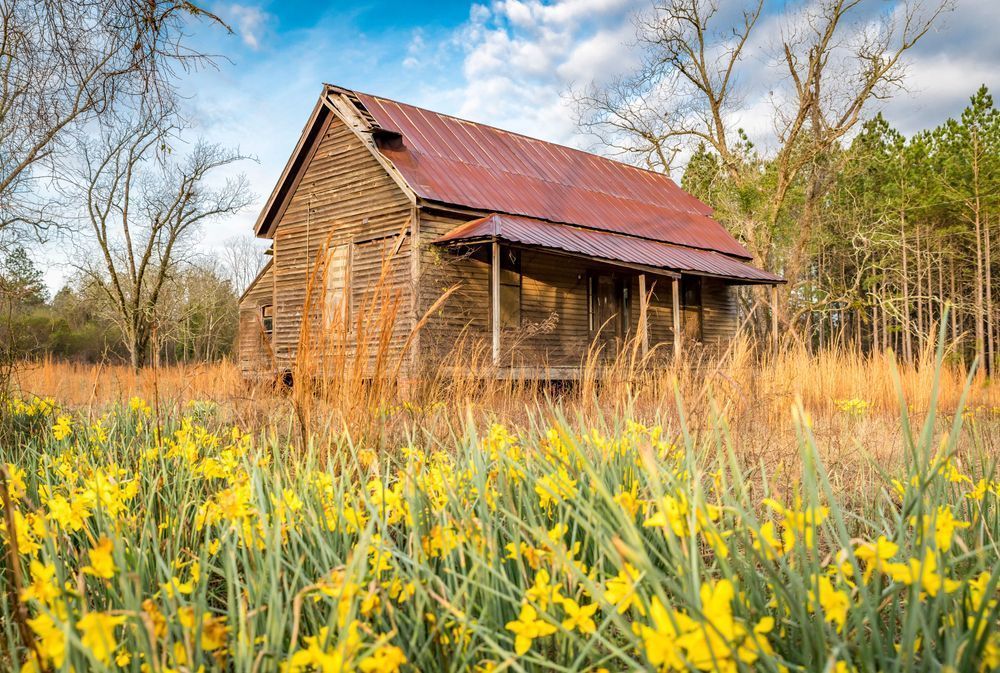 Farmhouse Flowers Photography Art | kramkranphoto