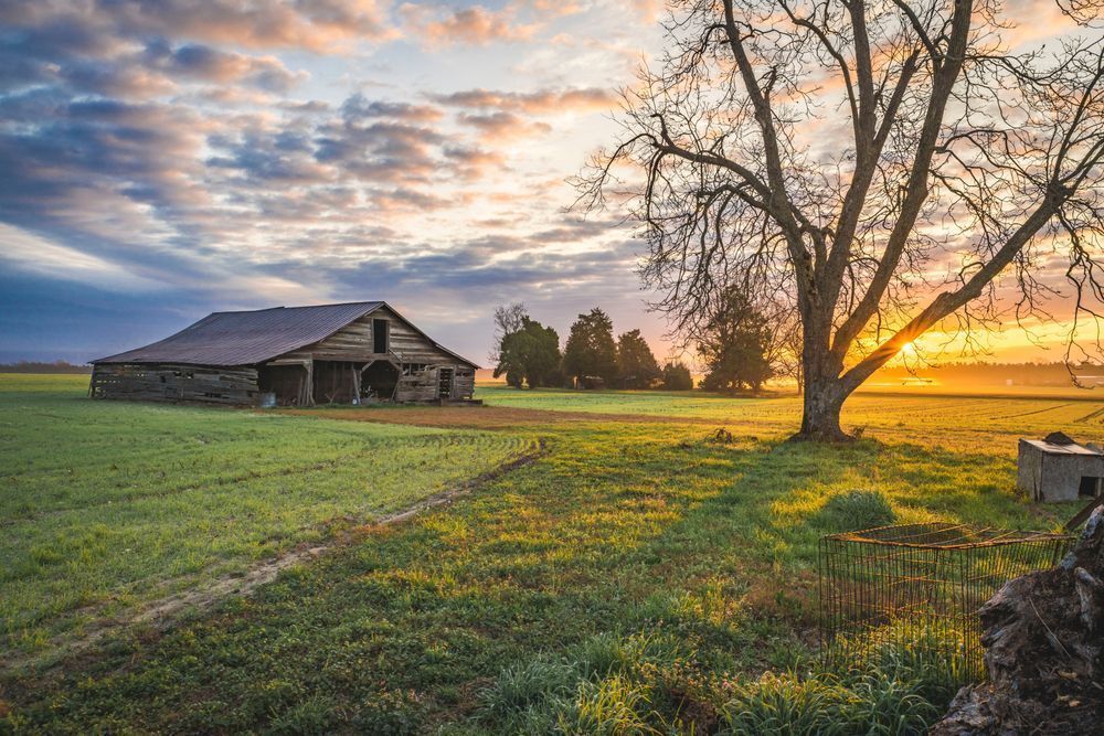 Rise And Shine Photography Art | kramkranphoto