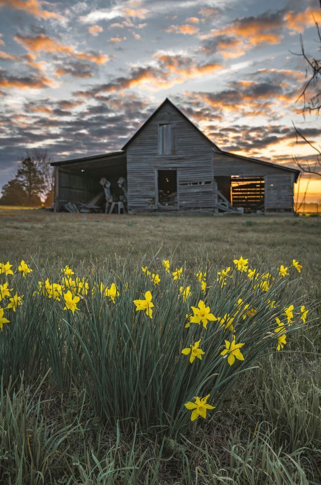 Farm Awakening Photography Art | kramkranphoto
