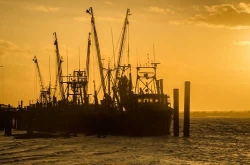 Mdawmdawmdawmdaw7qgraepd6cacehr zcfbfywxu2fyveayeunrgwctqqqltnerwweter6yomfiojy24adow ljj7f22f2vd2s3k0fn 38ezqodftc2xeuhdjufahdziomokxodj3hs jg da6ji5eudq olwagpj5emn5me0kfb8f0elcldr0qu5gjrxtjcvx9 41nvpgvre4sxodwn7cvxllztvs9vbssizvumpc d7i8ub1yqdl2pbzh5nglbmzkwva5y8bgvahwnmcrro8gghpnudqsh9m9sl4ryu8mp3g0ebro1l ovpqsiy g udpgw