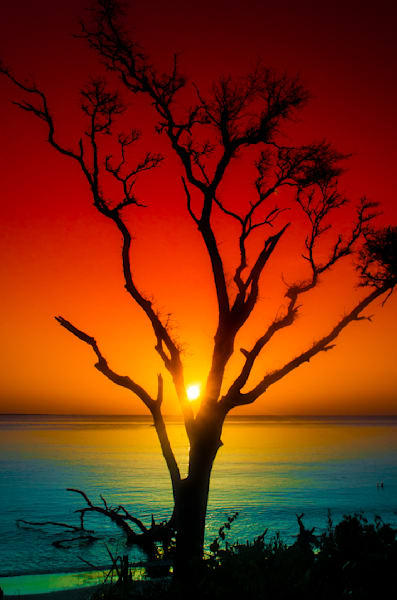 Suntree Photography Art | kramkranphoto