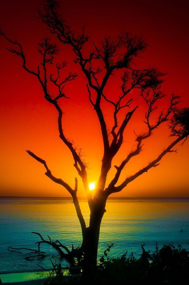 Suntree Photography Art | kramkranphoto