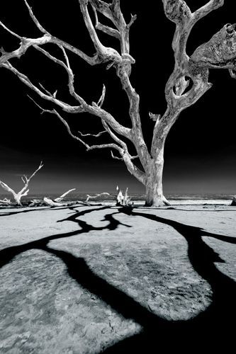 Mdawmdawmdawmdaw7qgraepd6cacehr zcfbfywxu2fyveayeunrgwctqqqltnerwweter6yomfiojy24adow ljj7f22f2vd2s3k0fn 38ezqodftc2xeuhdjufahdziomokxodj3hs jg da6ji5eudq olwagpj5emn5me0kfb8f0elcldr0qvzemtglkzk1 wdlwovwured1w wl3 olwfz q d5h x1zgyd3bo1c7bxekwo4ajjbln8 cvmscfjxe5ylbk3vannmtfbci9qrc6u4drjznwssxt5i 0s7xv5xa0dskaracr1uyuf sruvwrpjpes snhrk1khul73q