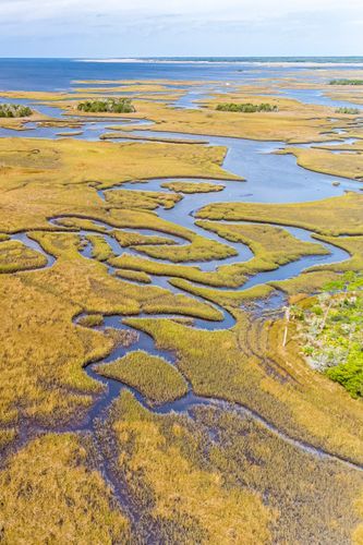 Mdawmdawmdawmdaw7qgraepd6cacehr zcfbfywxu2fyveayeunrgwctqqqltnerwweter6yomfiojy24adow ljj7f22f2vd2s3k0fn 38ezqodftc2xeuhdjufahdziomokxodj3hs jg da6ji5eudq olwagpj5emn5me0klb8f0elcldr0qp53ngjbie6pzsdpuvpavtoszxypnw kydbjz7qsosaaklyfwi m2bl ghfqh6uvubbpjqzilucflwulyo8akewlyndpbcjgmhw f438bmtxrgekhz6jlp56z j7zv2vbuowmtduevyk