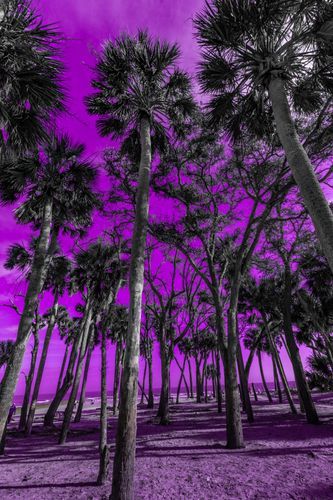 Mdawmdawmdawmdaw7qgraepd6cacehr zcfbfywxu2fyveayeunrgwctqqqltnerwweter6yomfiojy24adow ljj7f22f2vd2s3k0fn 38ezqodftc2xeuhdjufahdziomokxodj3hs jg da6ji5eudq olwagpj5emn5me0klb8f0elcldr0qu5xyfipwd7xuwdttovwurez1ntewkpagaq9nqu75eob0zguvgo24if3xshwb brrckd 6txuuydviaclbmavba9l153bxsrrrdffudqni9susggzbeom6glrbuyor0xho93 vmhy u cxclghoyjobsiwnap9 s