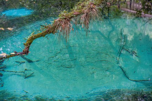 Mdawmdawmdawmdaw7qgraepd6cacehr zcfbfywxu2fyveayeunrgwctqqqltnerwweter6yomfiojy24adow ljj7f22f2vd2s3k0fn 38ezqodftc2xeuhdjufahdziomokxodj3hs jg da6ji5eudq olwagpj5emn5me0klb8f0elcldr0qujgbqhtydkbt5tnnvpgqrewex4r9nbcvxllztvs9vbssizvumpc d7i8ub1yqdl2pbzh5nglbmzkwva5y8bgvahwnmcrro8gghpnudqsh9m9sl4ryu8mp3g0dzemhu1cr62ructhmxkiiq