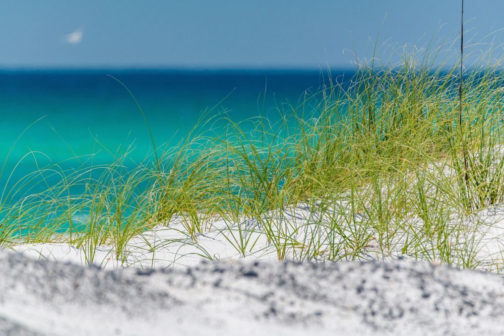 Natural Navarre Photography Art | kramkranphoto