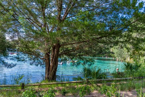 Mdawmdawmdawmdaw7qgraepd6cacehr zcfbfywxu2fyveayeunrgwctqqqltnerwweter6yomfiojy24adow ljj7f22f2vd2s3k0fn 38ezqodftc2xeuhdjufahdziomokxodj3hs jg da6ji5eudq olwagpj5emn5me0klb8f0elcldr0qujanrbtgivxw8ihnvpgqrewex4r5nbcvxllztvs9vbssizvumpc d7i8ub1yqdl2pbzh5nglbmzkwva5y8bgvahwnmcrro8gghpnudqsh9m9sl4ryu8mp3g0h60pohfeqnxzfdyctpge2a