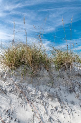 Mdawmdawmdawmdaw7qgraepd6cacehr zcfbfywxu2fyveayeunrgwctqqqltnerwweter6yomfiojy24adow ljj7f22f2vd2s3k0fn 38ezqodftc2xeuhdjufahdziomokxodj3hs jg da6ji5eudq olwagpj5emn5me0klb8f0elcldr0qujz8eidge6xy7lrqujisro4srdwjxfaogxfgrobxf l2zmejxpevzpp hboi8wf ebph5slzvshi2l9qtjlufrj6hyxdemfvqcqjtjphhtigrrrldeuj6hvlu gdv1ani9l6vivs2qta7srp2f0jayq tb8f6nda