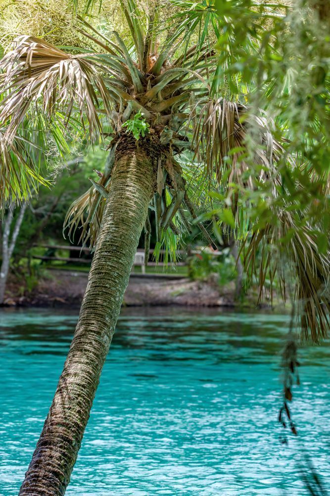 Clearly Paradise Photography Art | kramkranphoto